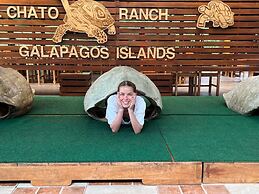 Galapagos Verde Azul