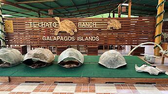 Galapagos Verde Azul