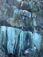 Galapagos Verde Azul