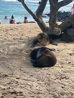 Galapagos Verde Azul