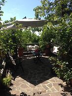 B&b Il Pioppo Antico