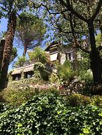 B&b Il Pioppo Antico