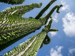 Relais Garden Cactus B&B