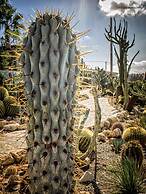 Relais Garden Cactus B&B