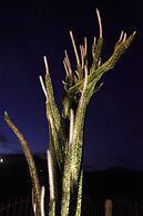 Relais Garden Cactus B&B