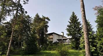 Hotel Bor