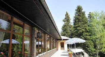 Hotel Bor