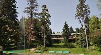 Hotel Bor