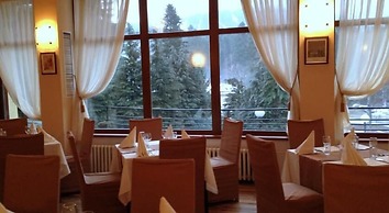 Hotel Bor