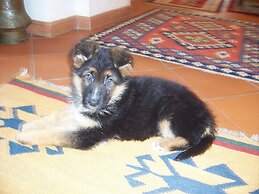 Agriturismo Paradiso