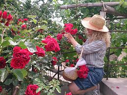 Meleklerevi Cave Hotel