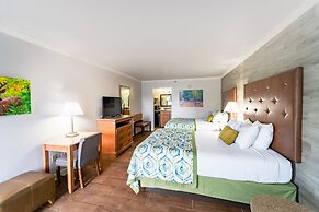 Accommodation By Willow Brook Lodge