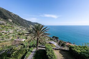 Hanging Garden with Air Conditioning