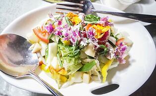 Tai Yi Red Maple Resort