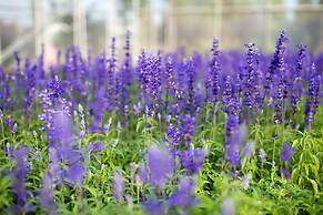 Tai Yi Red Maple Resort