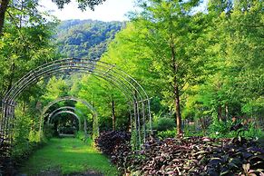 Tai Yi Red Maple Resort