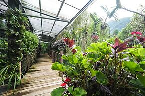 Tai Yi Red Maple Resort