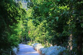 Tai Yi Red Maple Resort