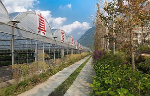 Tai Yi Red Maple Resort