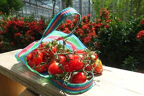 Tai Yi Red Maple Resort