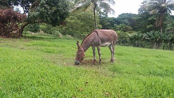 Island Goode's - Luxury Adults Only Accommodation