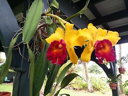 Island Goode's - Luxury Adults Only Accommodation