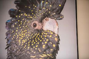 Nightcap at the Charles Hotel