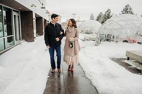 The Davenport Grand, Autograph Collection