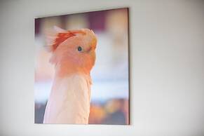 Nightcap at Chester Hill Hotel