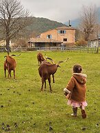 La Bastide des Pins