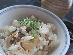 Sun Members Hirugano