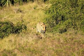 Quatermain's 1920's Safari Camp - Amakhala Game Reserve