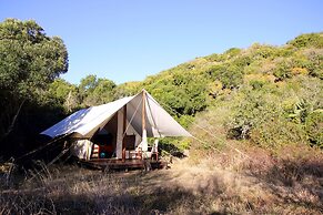 Quatermain's 1920's Safari Camp - Amakhala Game Reserve