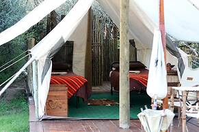 Quatermain's 1920's Safari Camp - Amakhala Game Reserve