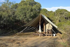 Quatermain's 1920's Safari Camp - Amakhala Game Reserve