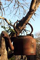 Quatermain's 1920's Safari Camp - Amakhala Game Reserve