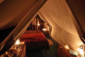 Quatermain's 1920's Safari Camp - Amakhala Game Reserve