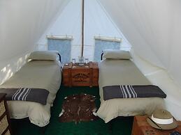 Quatermain's 1920's Safari Camp - Amakhala Game Reserve