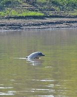 Kurupira Cabin Floating