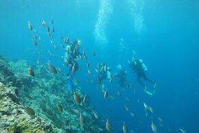 Marigot Palms Luxury Guesthouse