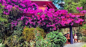 Boquete Garden Inn Hotel