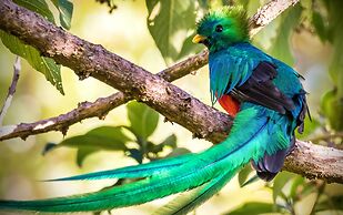 Boquete Garden Inn Hotel