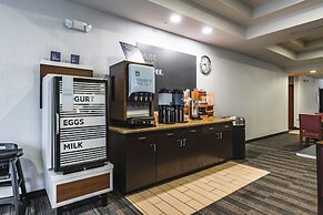 Holiday Inn Express & Suites New Martinsville by IHG