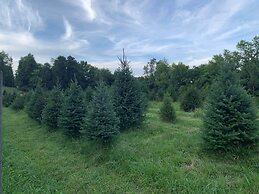 Holiday Inn Express & Suites New Martinsville by IHG