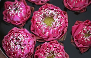 VMANSION Boutique Hotel