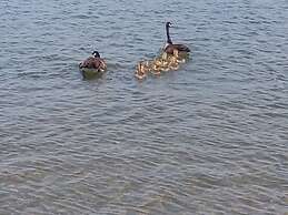 Kokanee Beach Resort Motel