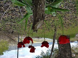 Kokanee Beach Resort Motel