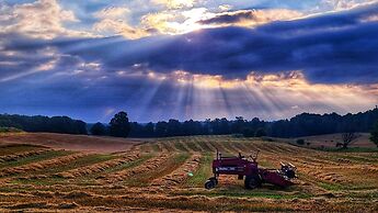 Mountain Ash Farm Country Manor