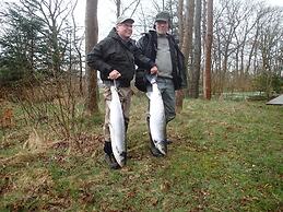 Skarrildhus Sinatur Hotel og Konference