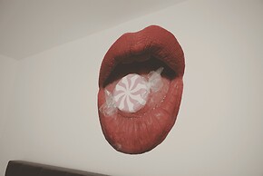 Apartments Rosenthal Residence